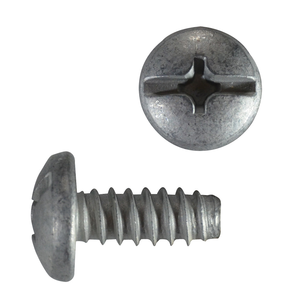 Auto Body Trim Screws