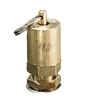 25 Gal. Heavy-Duty Self-Evacuating Oil Drain Replacement Part | Pop-Off Valve