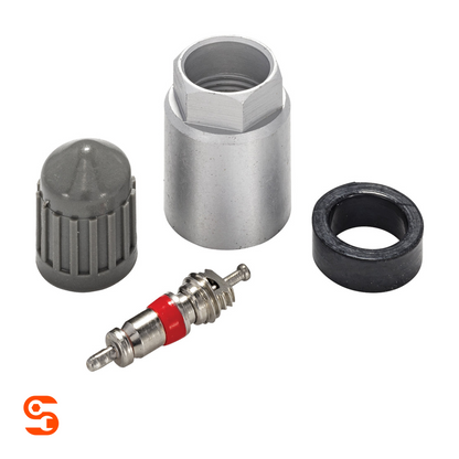 TPMS service kit with metal valve stem, grey cap, silver nut, and black rubber grommet on white background