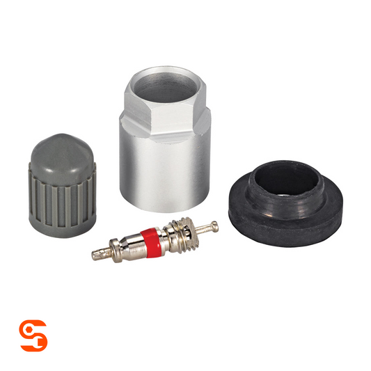 TPMS service kit with metal valve core, silver nut, black rubber grommet and gray plastic cap
