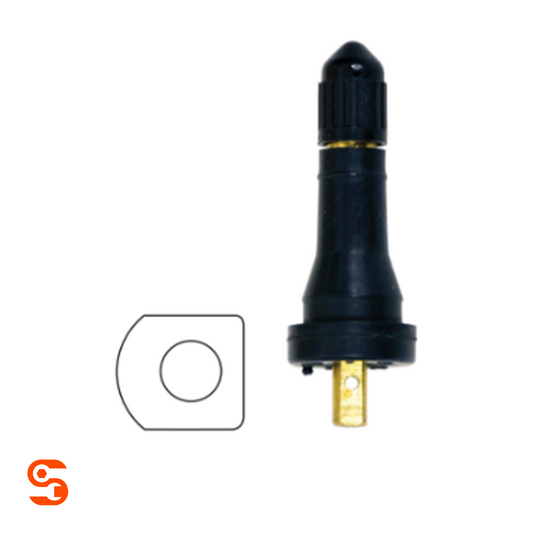 Black rubber TPMS valve with brass stem and black retaining nut, shown with a small valve seal beside it