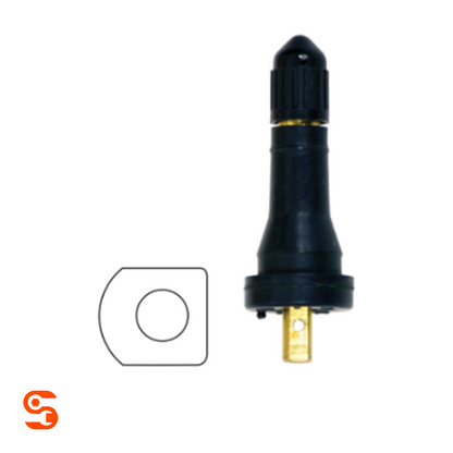 Black rubber TPMS valve with brass stem and black retaining nut, shown with a small valve seal beside it