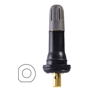 OEM TPMS Valve Replacement
