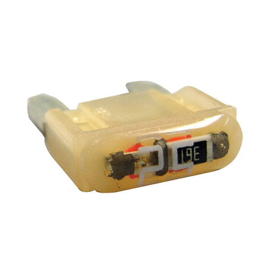 25 AMP ATM MINI "GLO" Automotive Fuse | Color: Nude