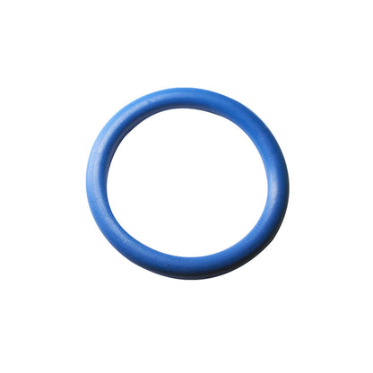 GM Plastic Oil Drain Plug Gasket | Style: Blue O-Ring