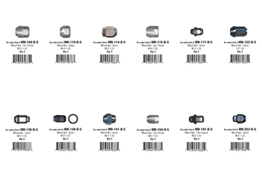 Steel Wheel Lug Nut Assortment B | Total Parts: 12 | Total Pieces: 60