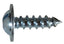 Auto Body Trim Screws