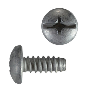 Auto Body Trim Screws