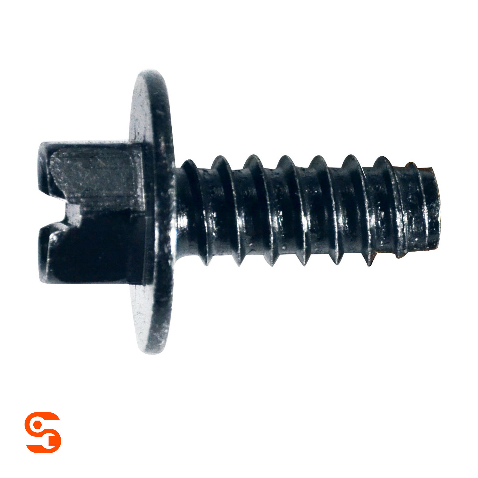 Black metal license plate screw with washer head, hex socket end, and coarse threaded shaft