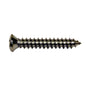 Chrome Sheet Metal Phillips Oval Undersized Head Trim Screw | Head Size: #6