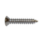 Chrome Sheet Metal Phillips Oval Undersized Head Trim Screw | Head Size: #6