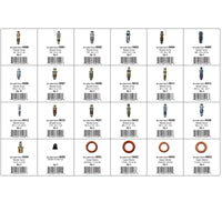 Bleeder Screw Assortment