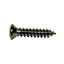 Auto Body Trim Screws