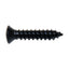 Auto Body Trim Screws