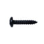 Auto Body Trim Screws