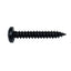 Auto Body Trim Screws