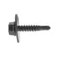 Auto Body Trim Screws