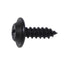 Auto Body Trim Screws