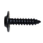 Auto Body Trim Screws