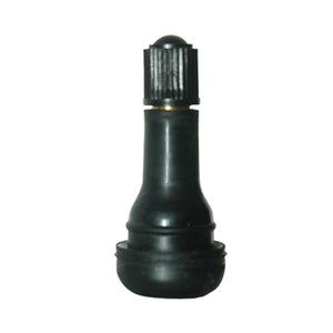 Tubeless Snap-in Valve